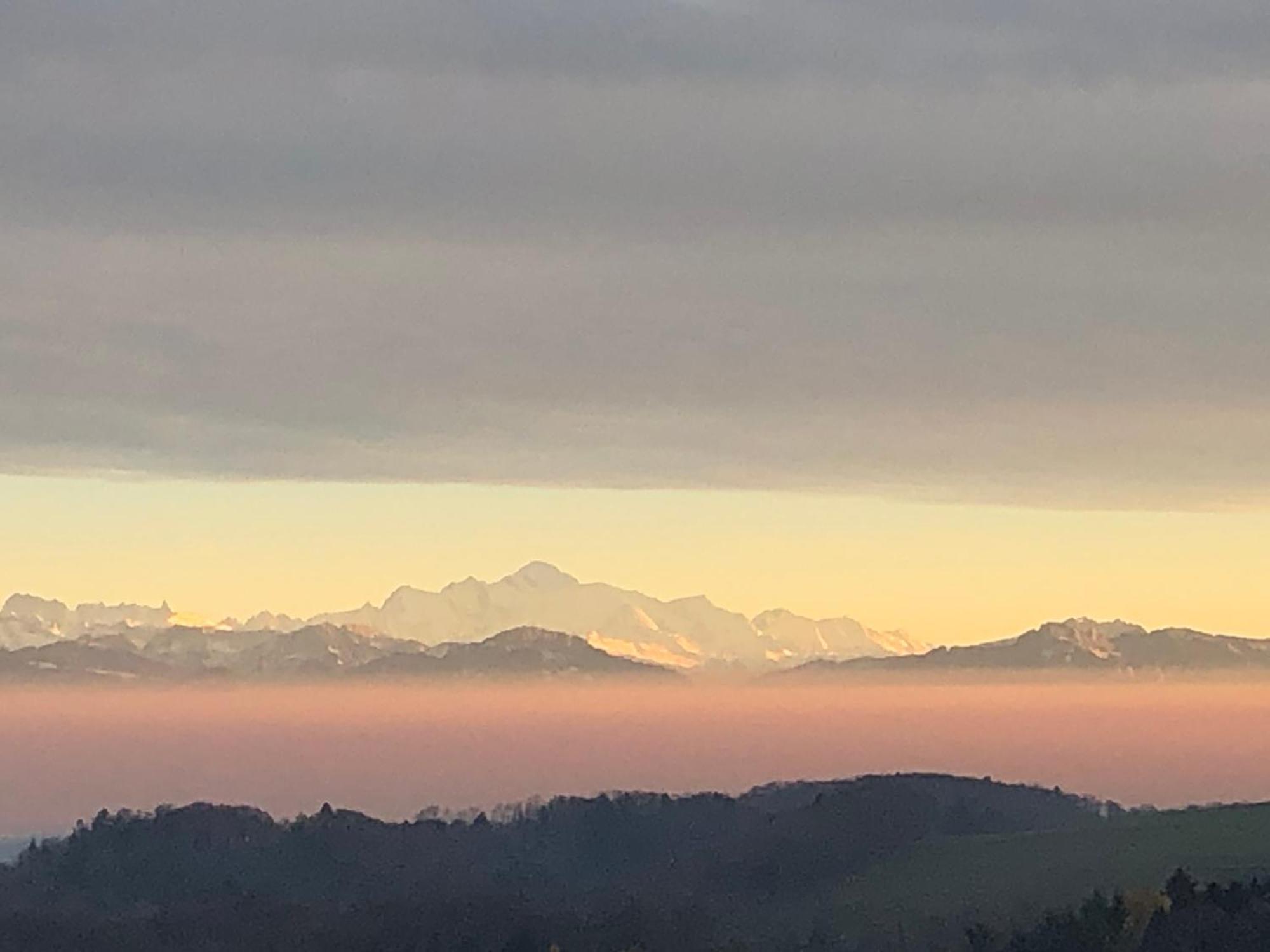 La Croisee Des Chemins Premier المظهر الخارجي الصورة